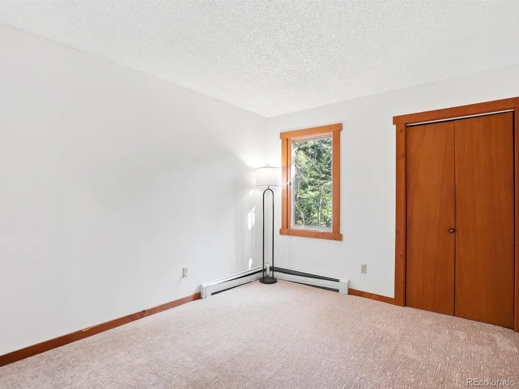 29 Blue Spruce Drive Evergreen CO 80439