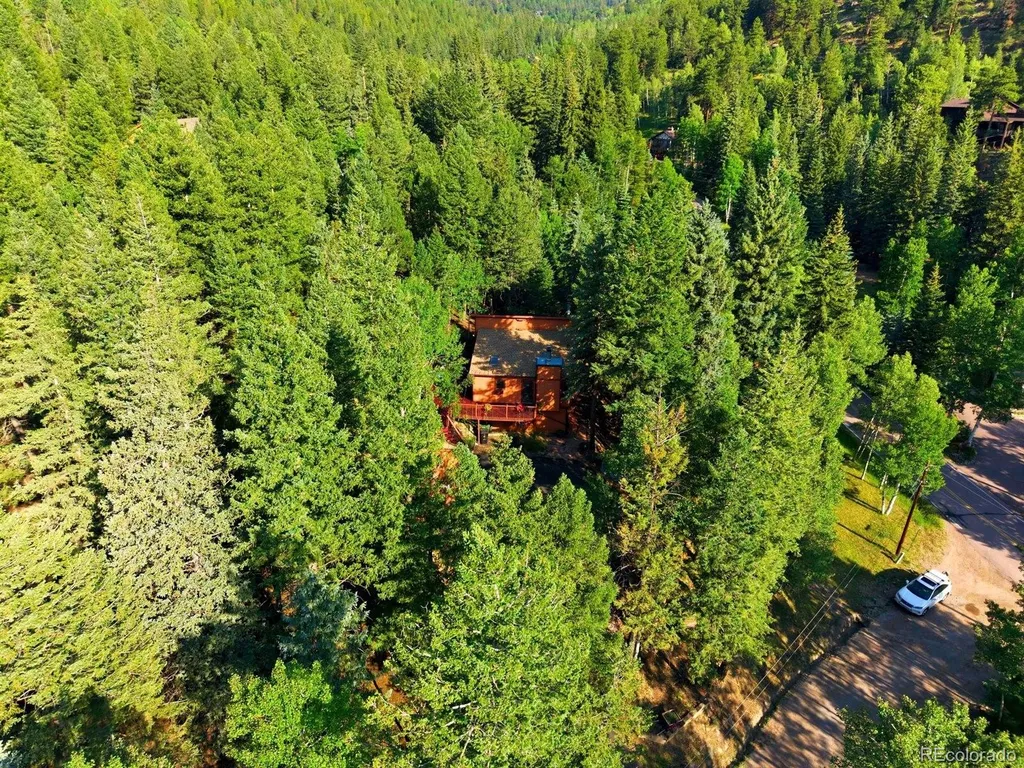 29 Blue Spruce Drive Evergreen CO 80439