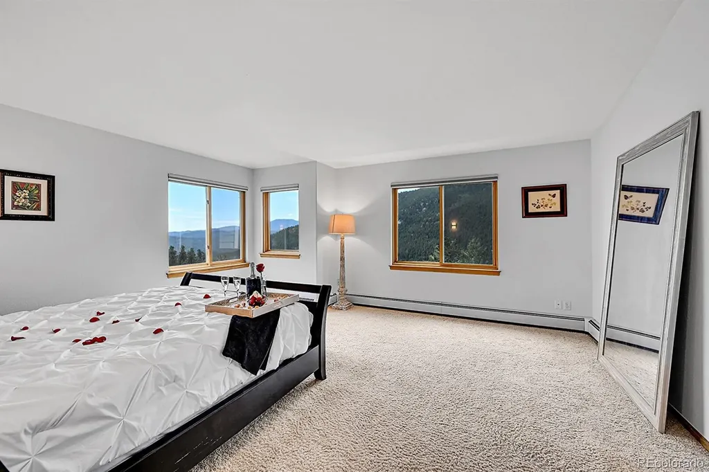 54 Spruce Court Evergreen CO 80439