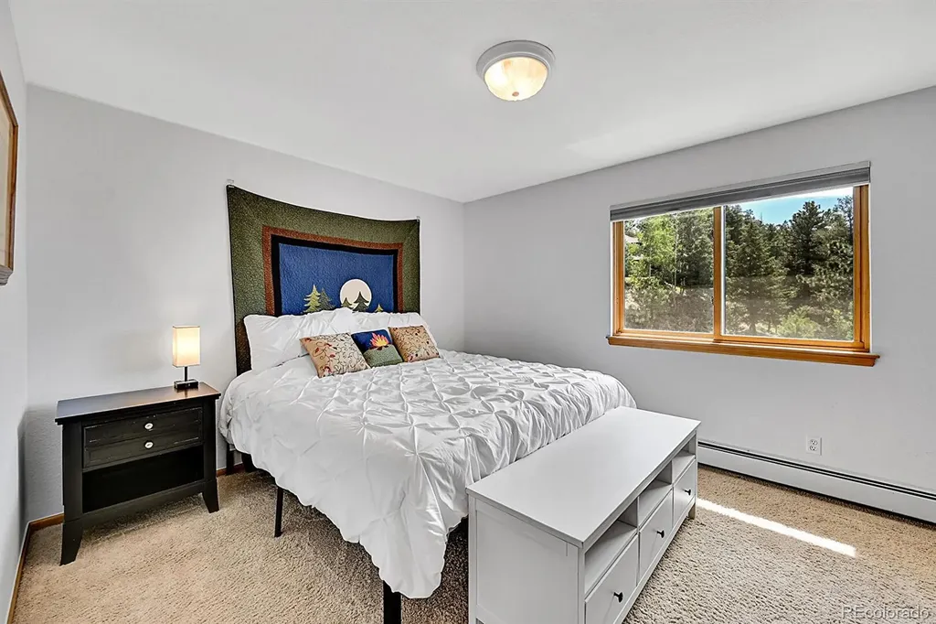 54 Spruce Court Evergreen CO 80439