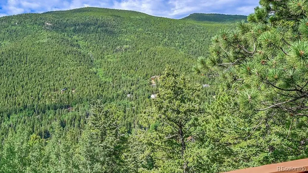 54 Spruce Court Evergreen CO 80439