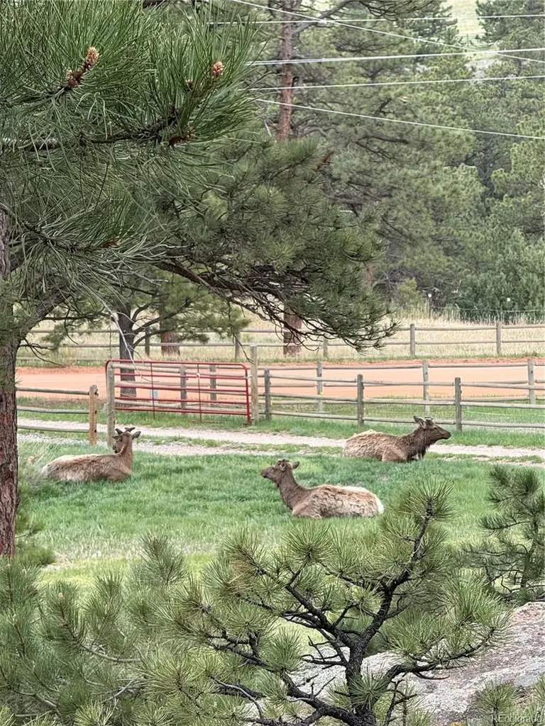 1715 Spring Gulch Drive Lyons CO 80540