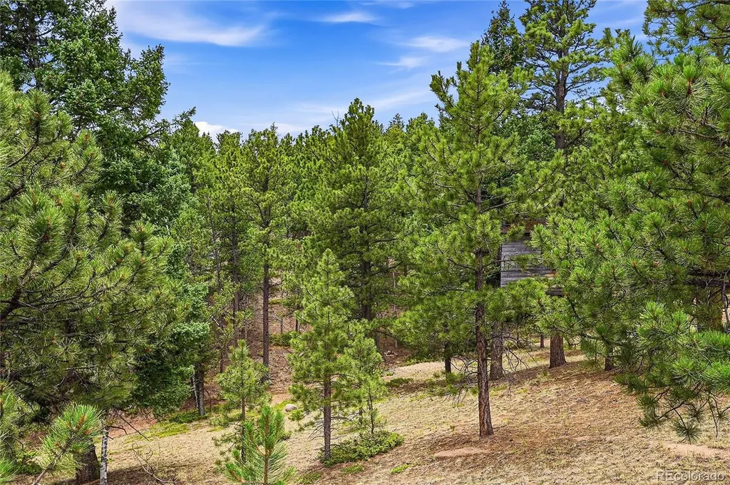 2130 & 2150 Arapahoe Street Woodland Park CO 80863