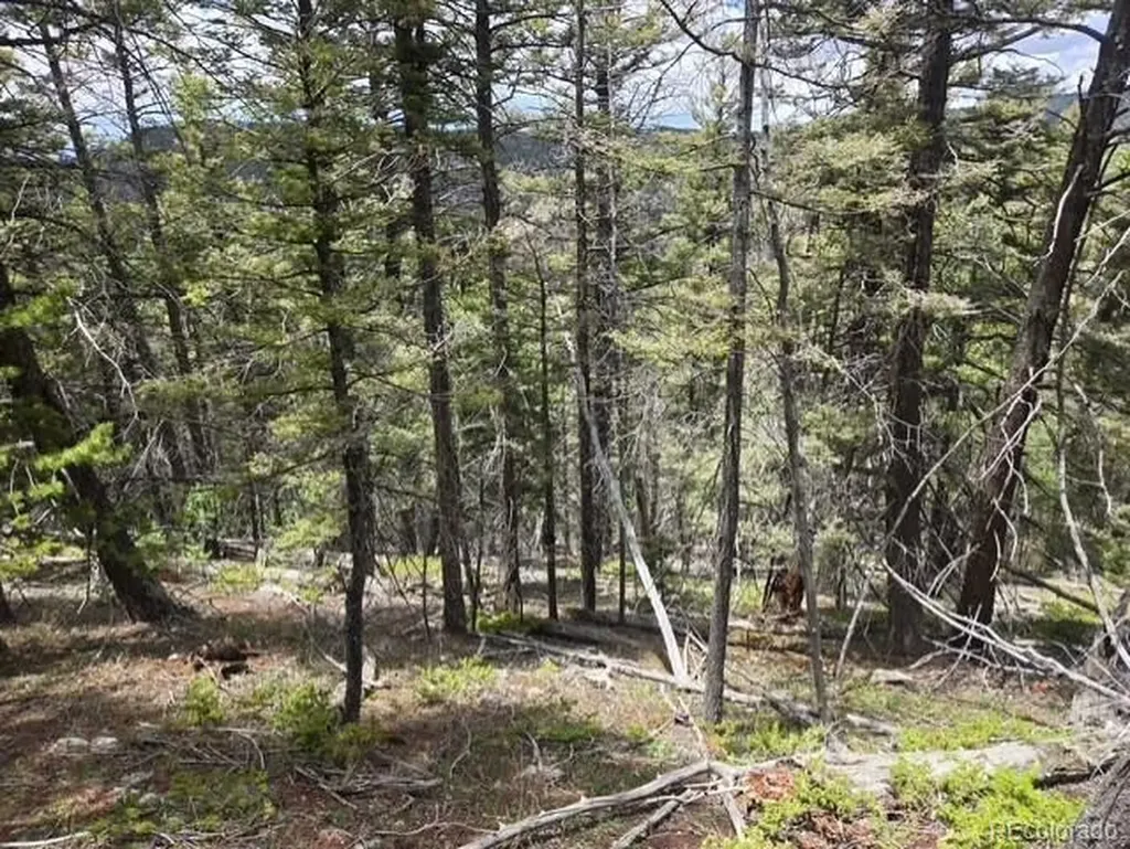Lot 6744 Starkweather Road San Luis CO 81152