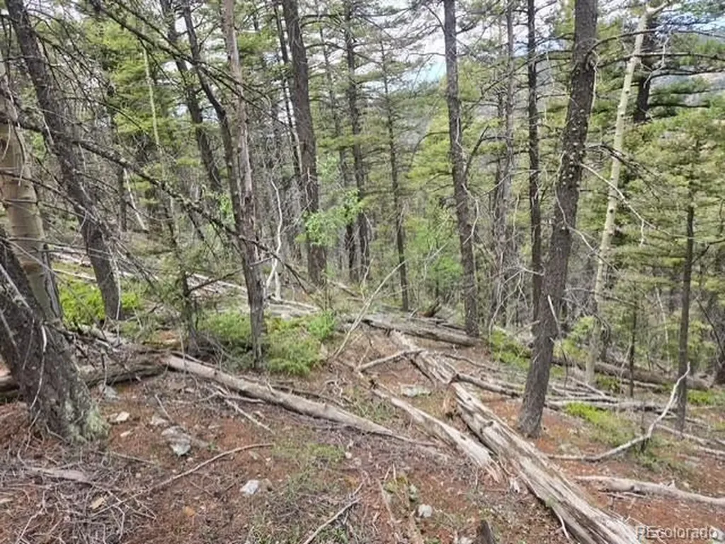Lot 6744 Starkweather Road San Luis CO 81152