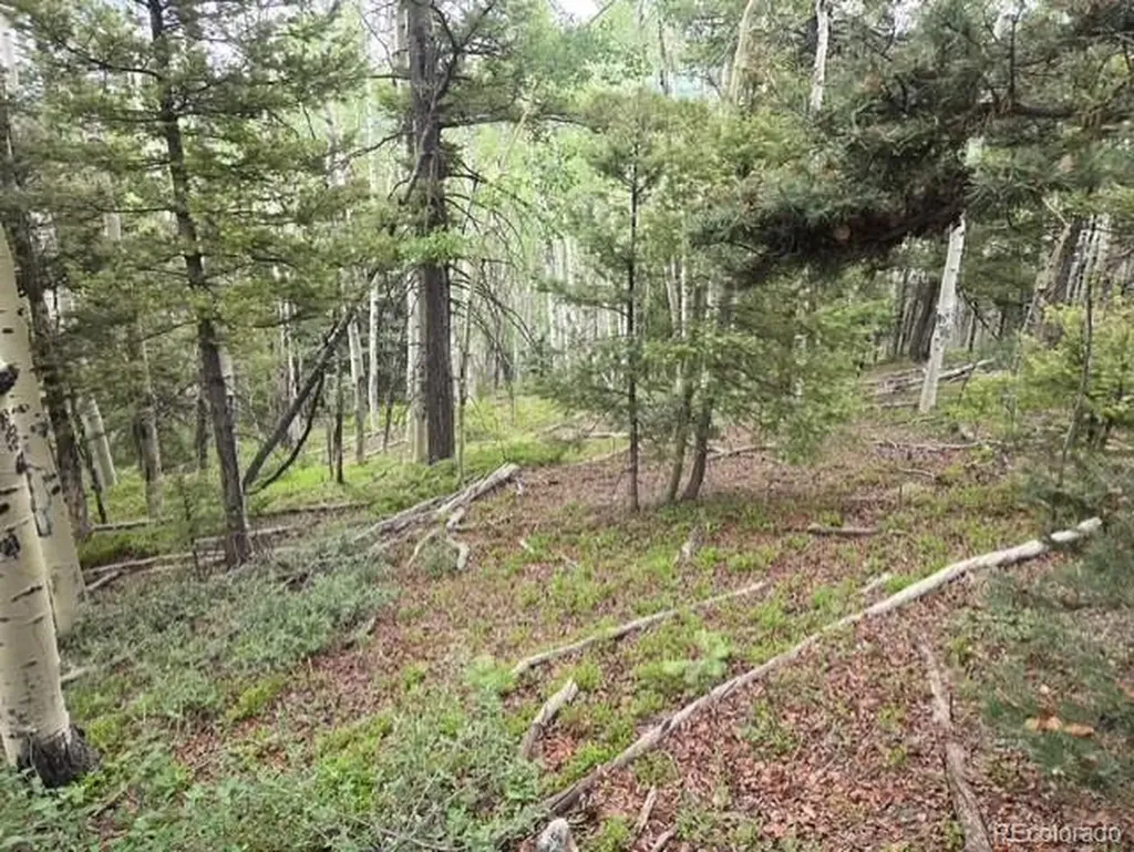 Lot 6744 Starkweather Road San Luis CO 81152