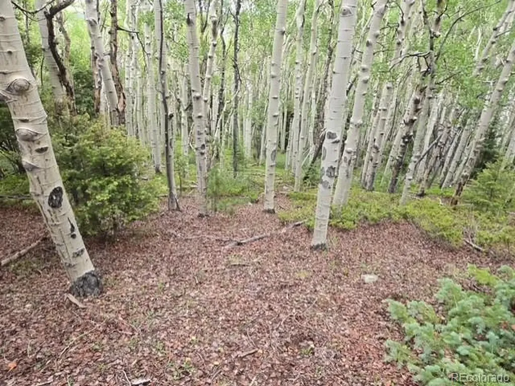 Lot 6744 Starkweather Road San Luis CO 81152