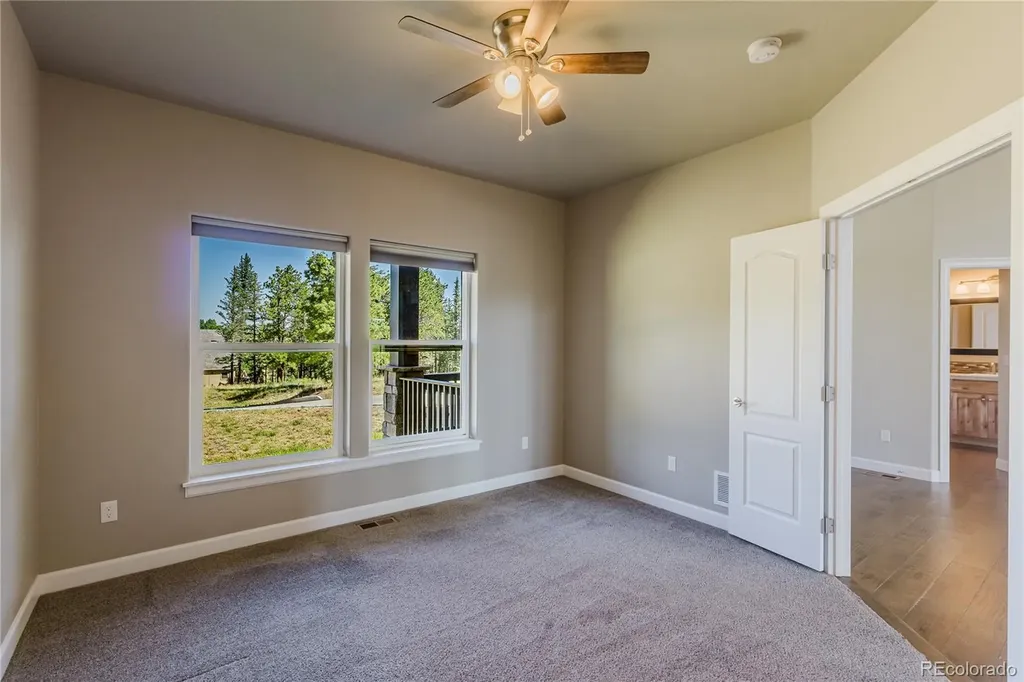 407 Silvermoon Heights Divide CO 80814