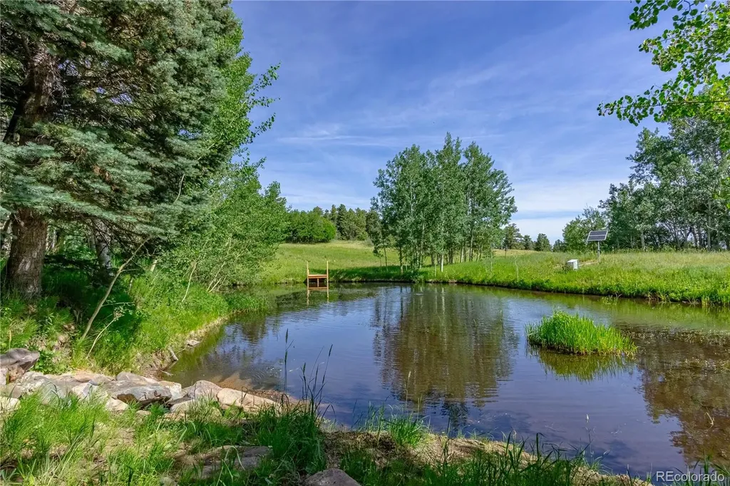 723 Chalice Drive Westcliffe CO 81252