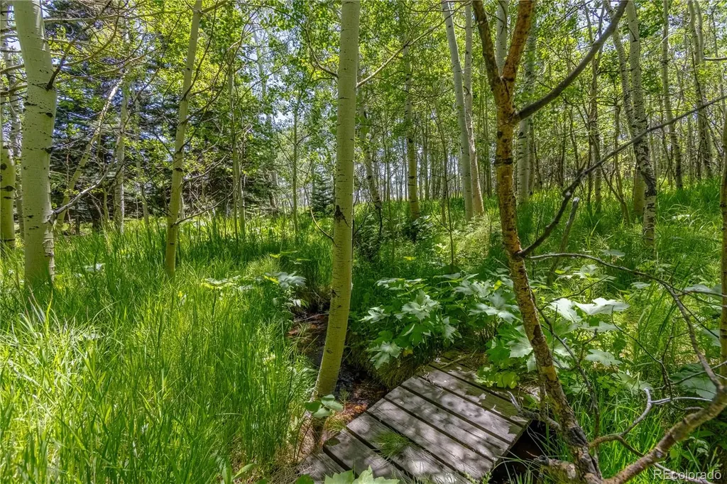 723 Chalice Drive Westcliffe CO 81252