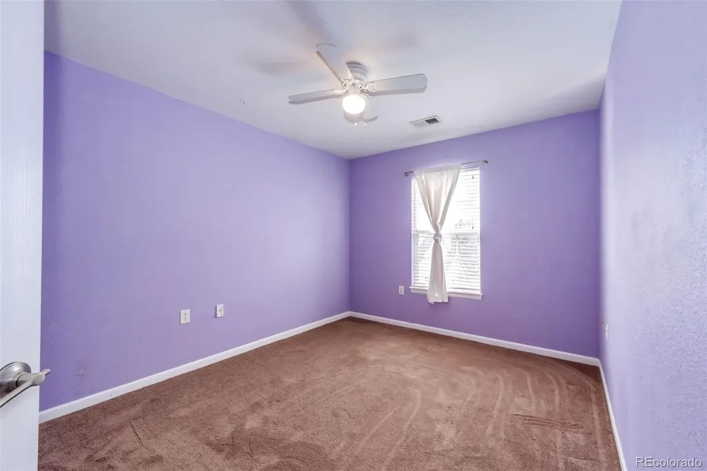 1482 Nemrick Place Castle Rock CO 80109
