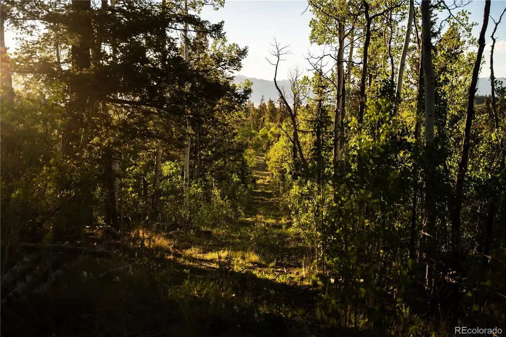 1280 Antler Ridge Road Como CO 80432