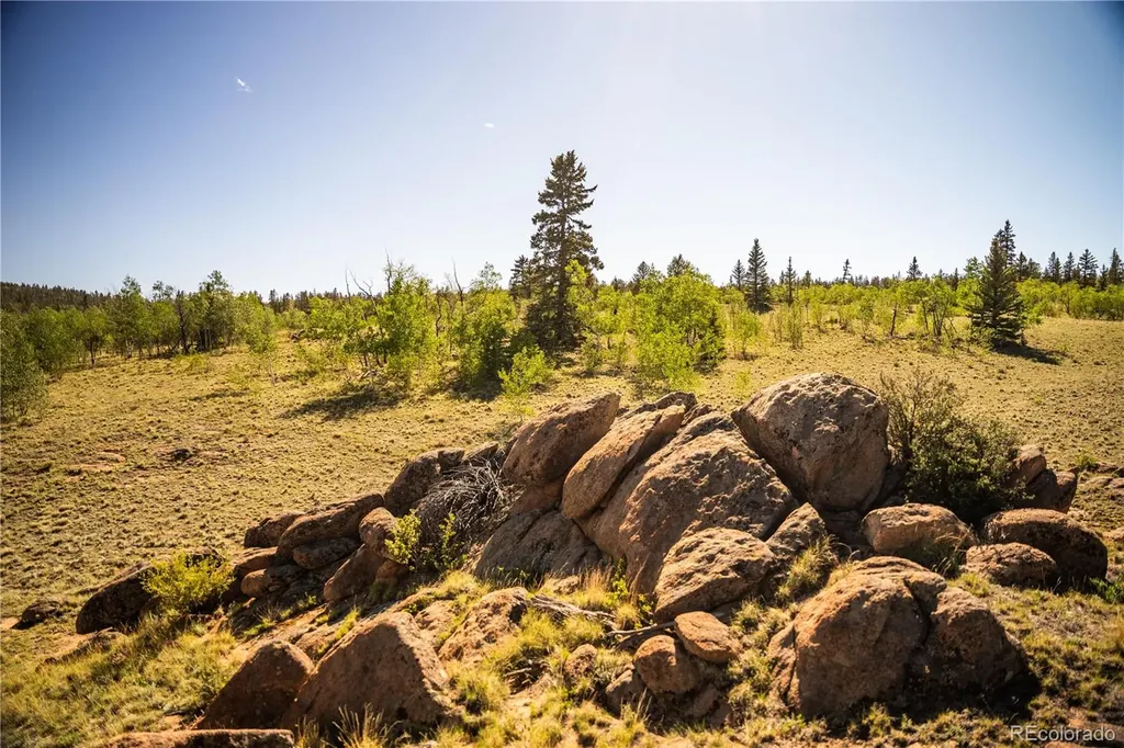 1280 Antler Ridge Road Como CO 80432