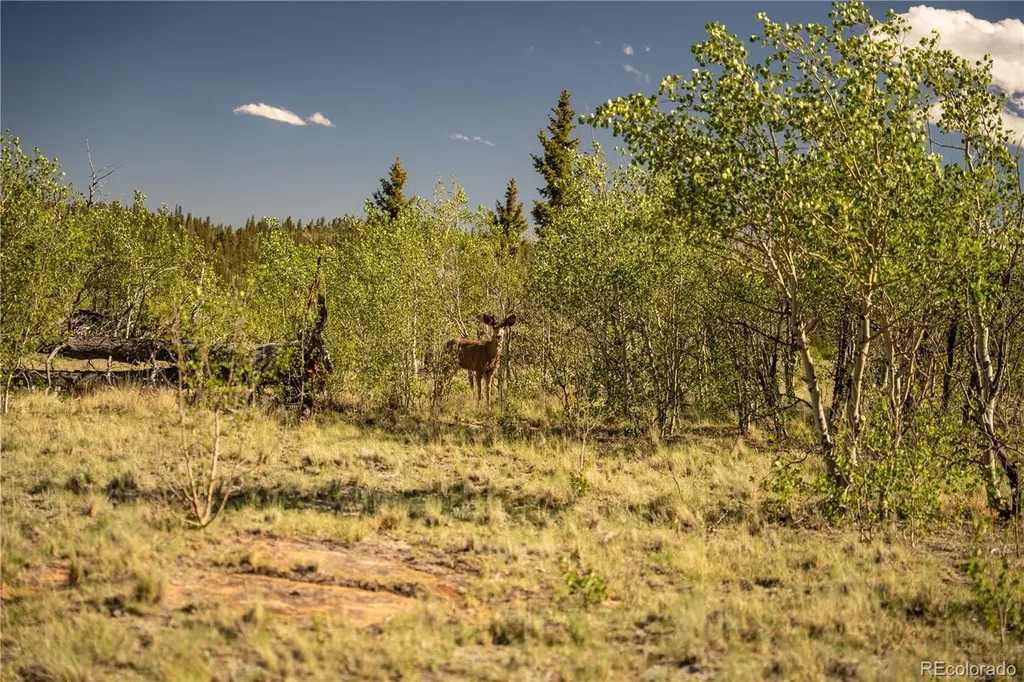 1280 Antler Ridge Road Como CO 80432