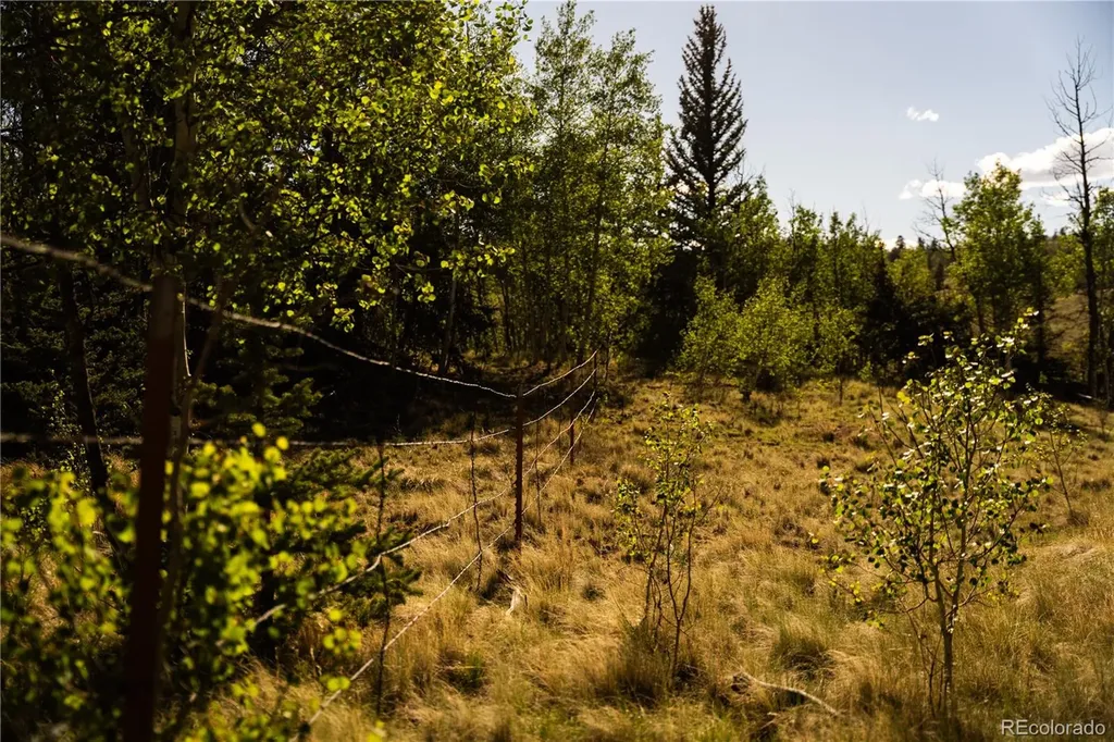 1280 Antler Ridge Road Como CO 80432