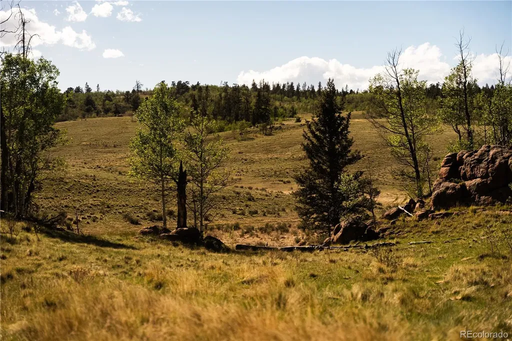 1280 Antler Ridge Road Como CO 80432