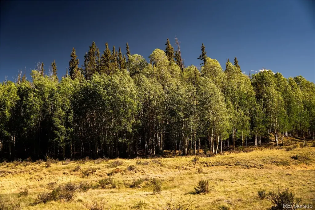 1280 Antler Ridge Road Como CO 80432