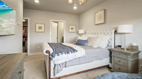 20 Wilcox Street Castle Rock CO 80104