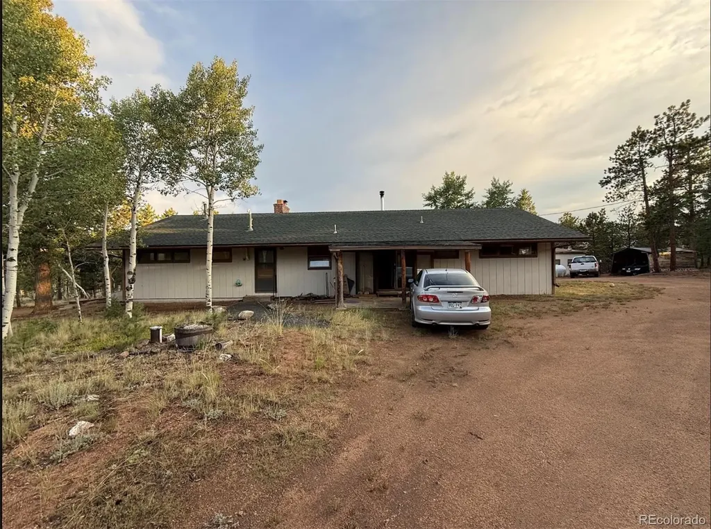98 Two Bits Street Bailey CO 80241