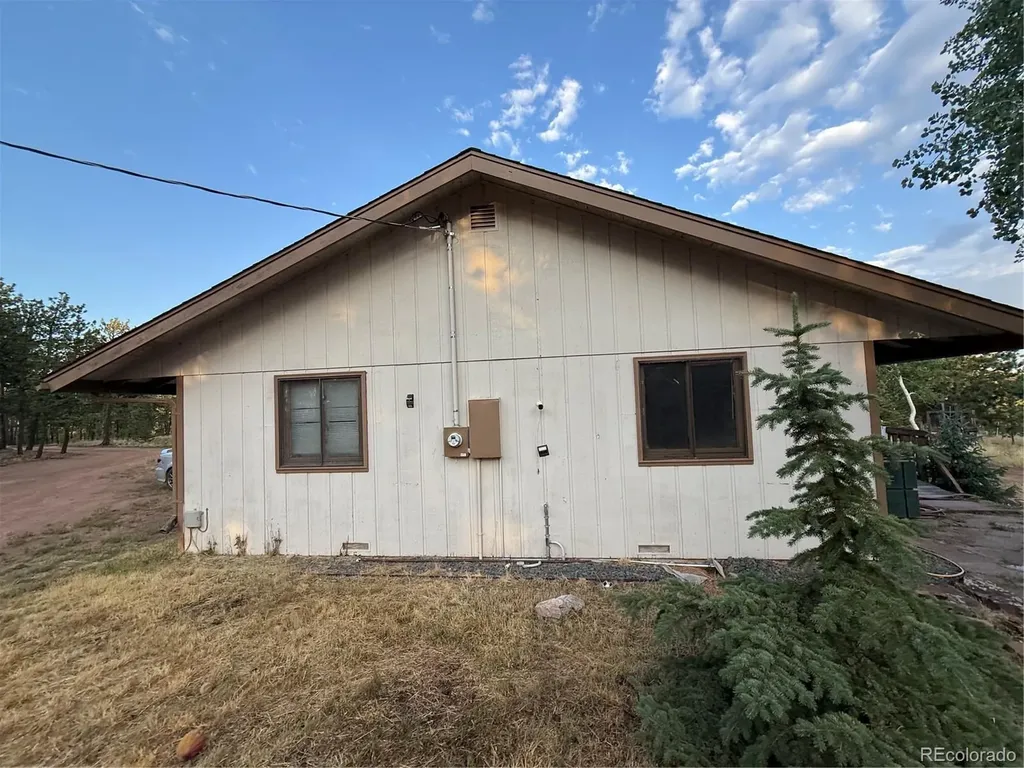 98 Two Bits Street Bailey CO 80241