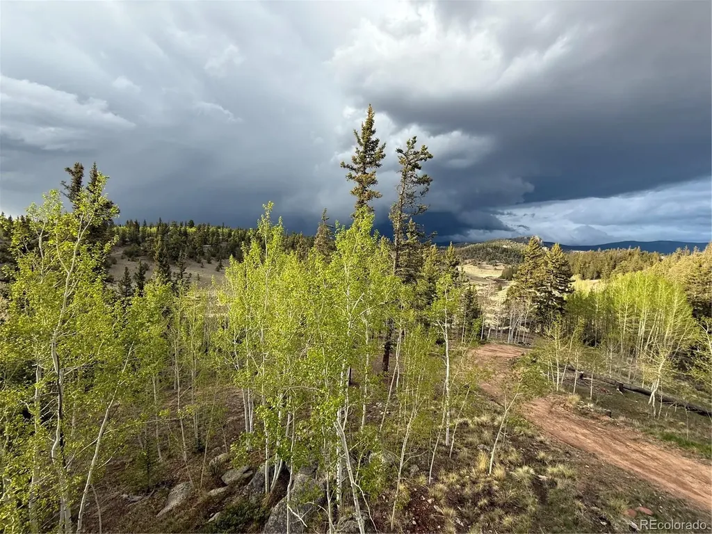 2544 E Longbow Drive Como CO 80456