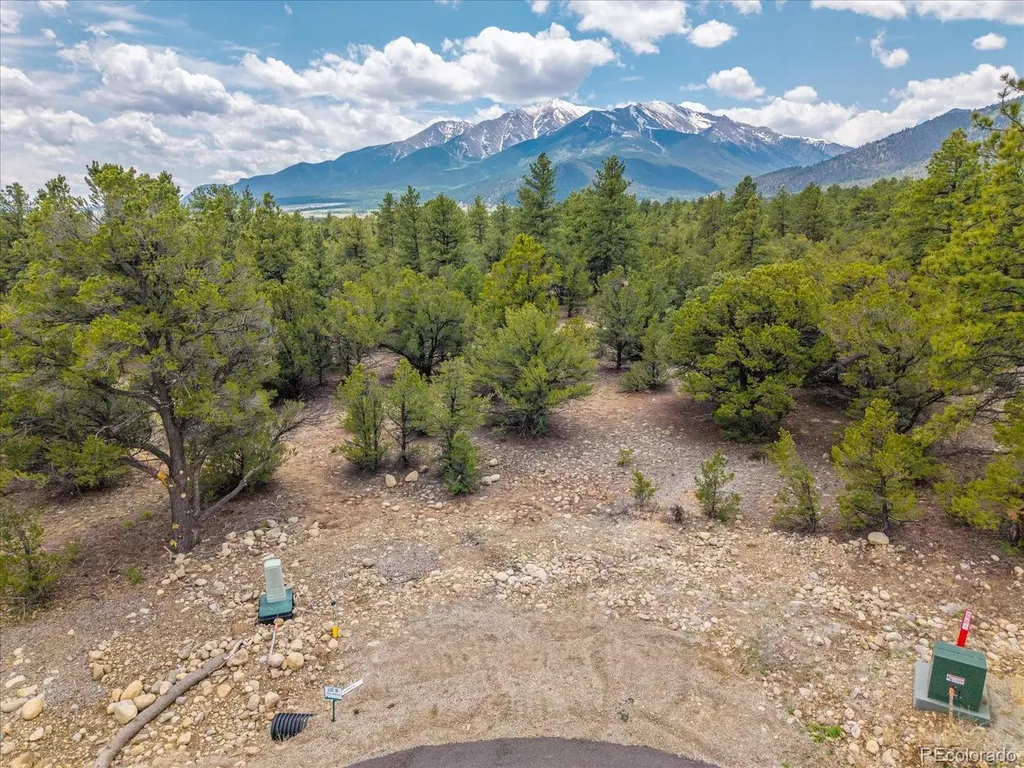 29266 Timber Ridge Buena Vista CO 81211