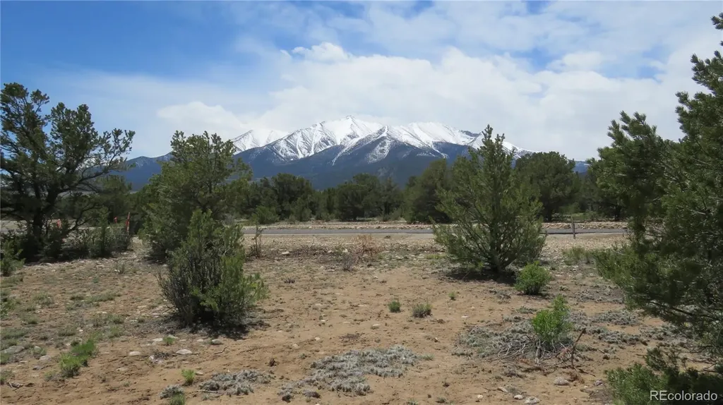 29266 Timber Ridge Buena Vista CO 81211