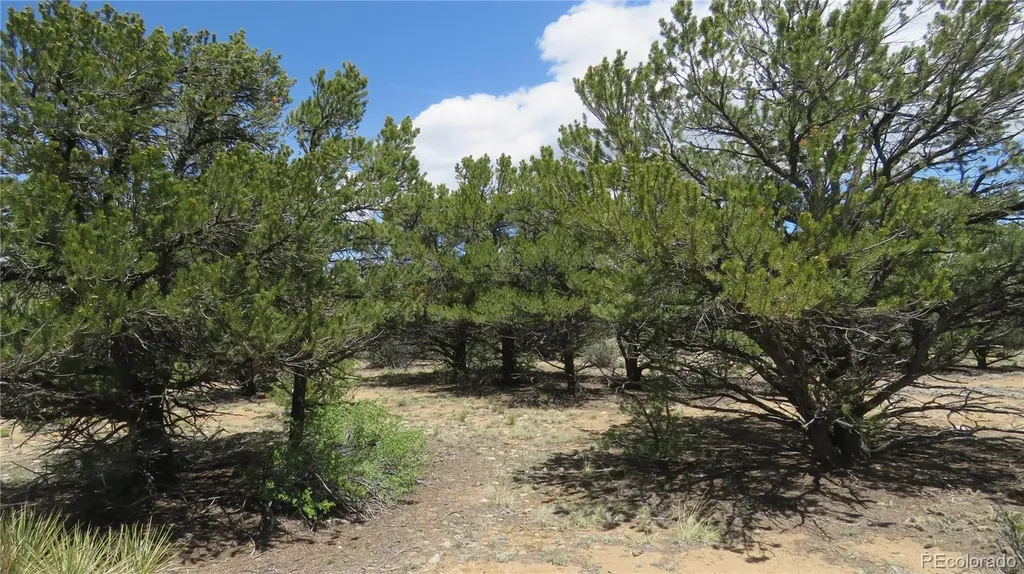 29266 Timber Ridge Buena Vista CO 81211