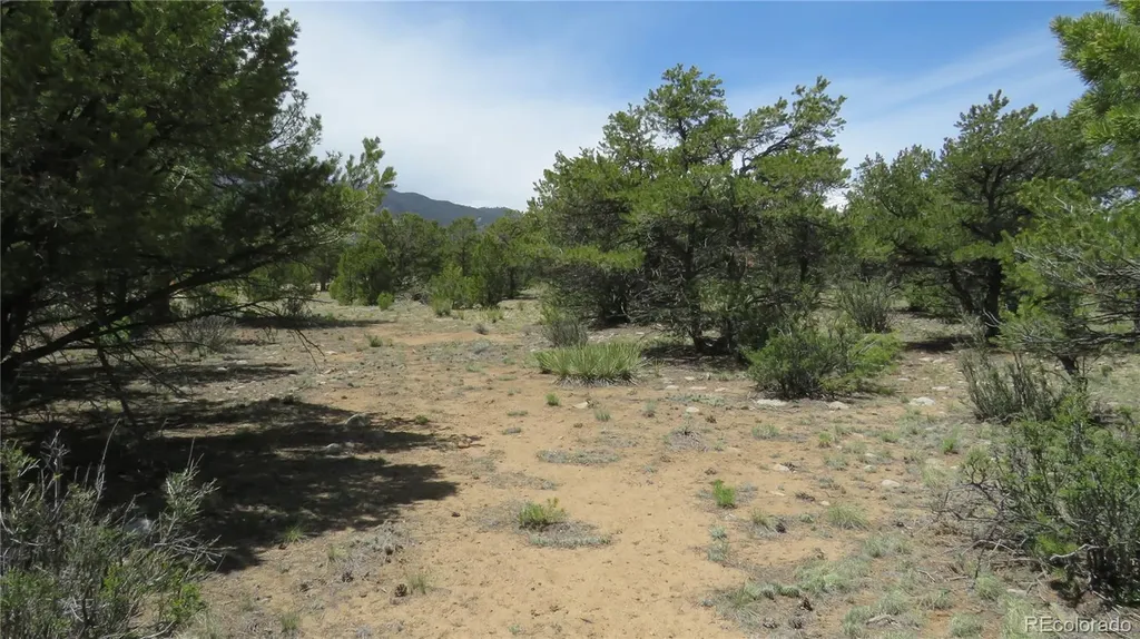 29266 Timber Ridge Buena Vista CO 81211