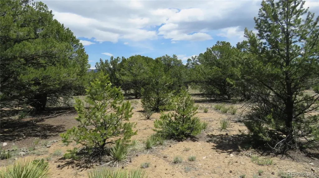 29266 Timber Ridge Buena Vista CO 81211