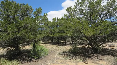 29266 Timber Ridge Buena Vista CO 81211