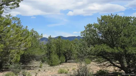 29266 Timber Ridge Buena Vista CO 81211