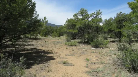 29266 Timber Ridge Buena Vista CO 81211