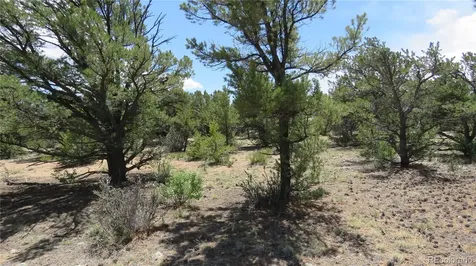 29266 Timber Ridge Buena Vista CO 81211