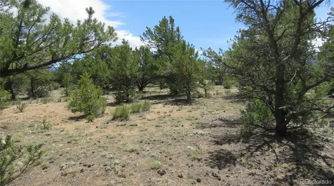 29266 Timber Ridge Buena Vista CO 81211