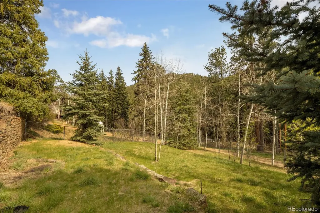 1264 Beaver Brook Canyon Road Evergreen CO 80439