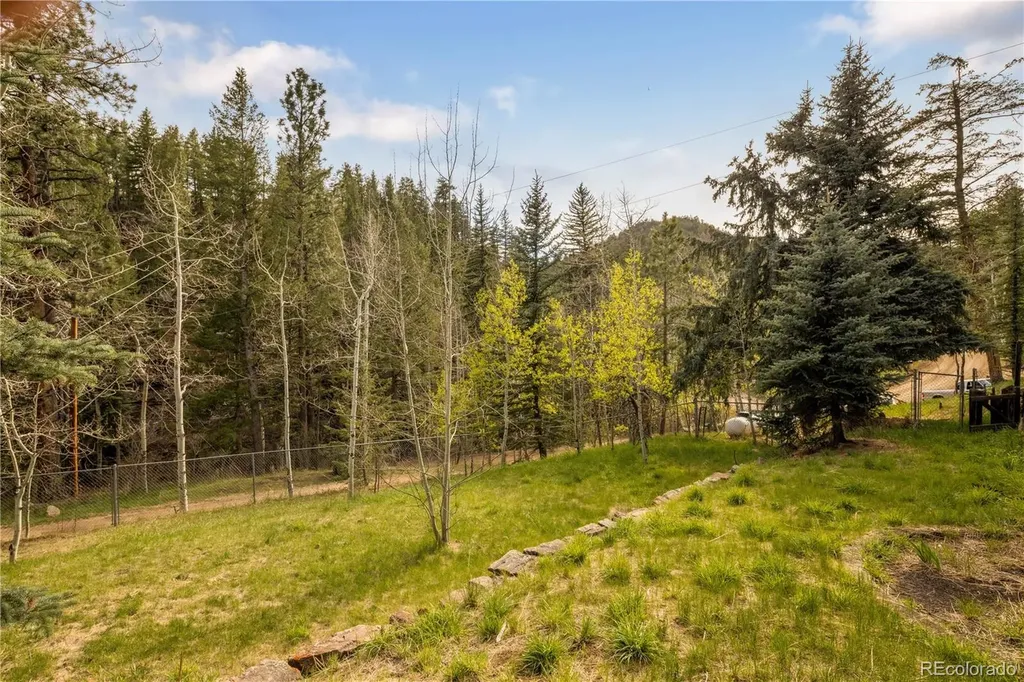 1264 Beaver Brook Canyon Road Evergreen CO 80439