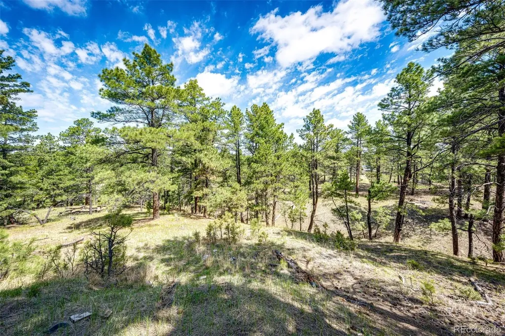 40400 Moon Stone Court Deer Trail CO 80105