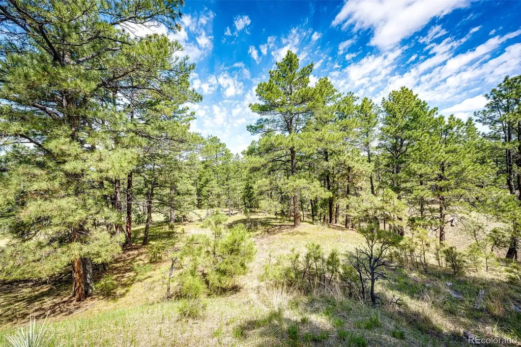 40400 Moon Stone Court Deer Trail CO 80105