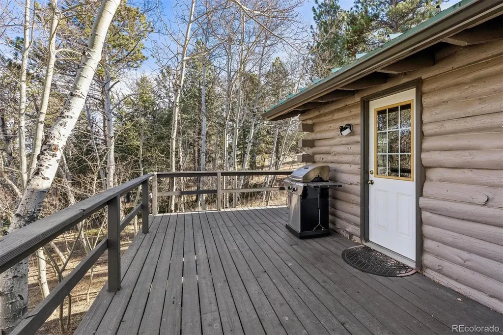 150 Mount Fisher Court Livermore CO 80536