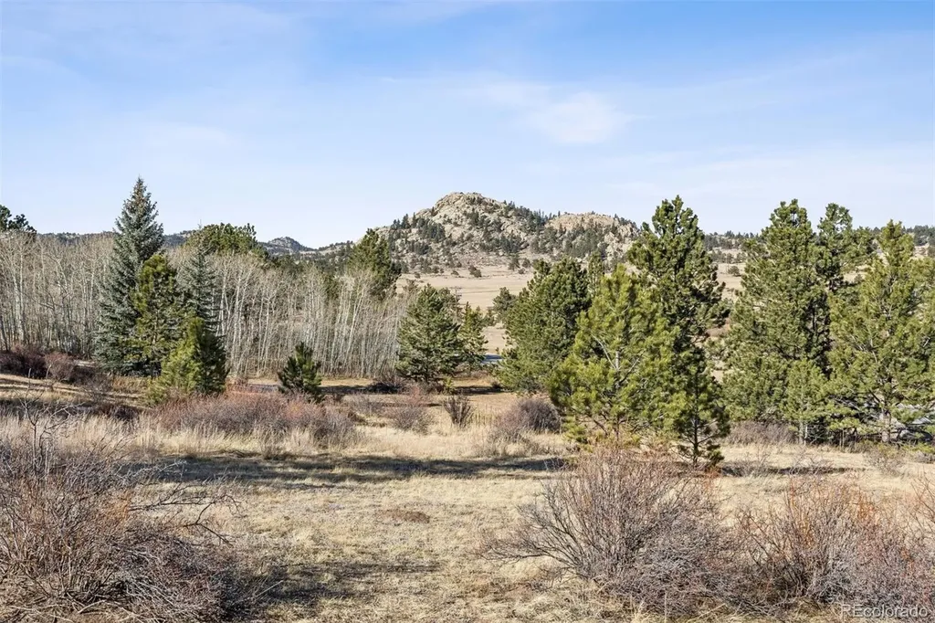 150 Mount Fisher Court Livermore CO 80536