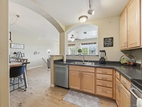 431 Black Feather Loop Castle Rock CO 80104