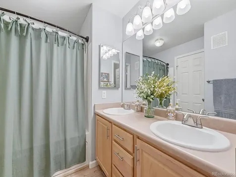 431 Black Feather Loop Castle Rock CO 80104