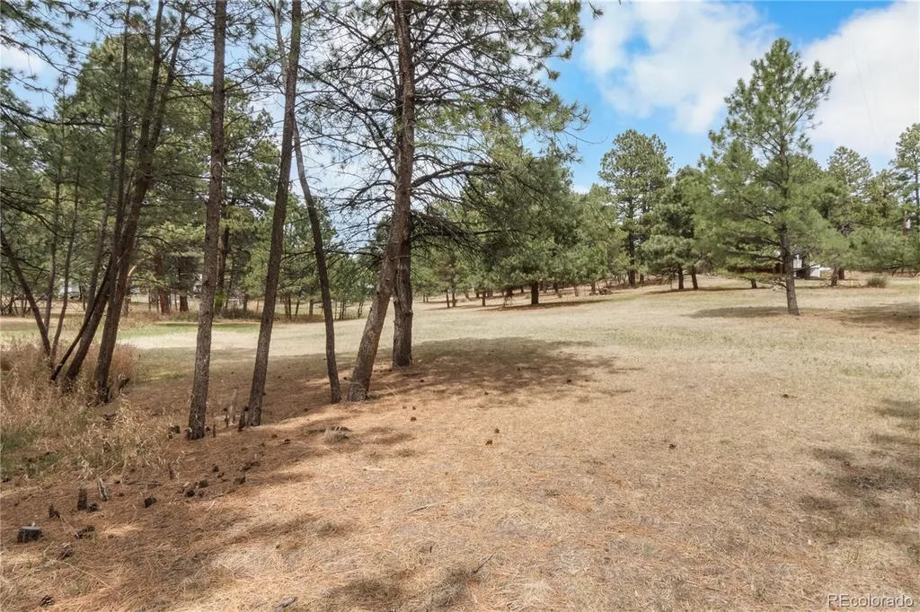 5336 County Road 142 Elizabeth CO 80107