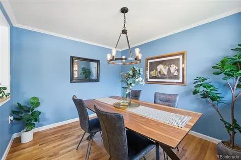 5357 Field Circle Arvada CO 80002