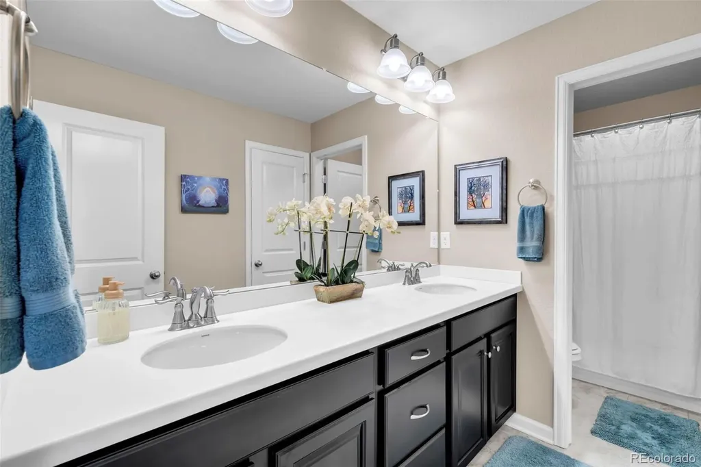 257 Horizon Avenue Erie CO 80516
