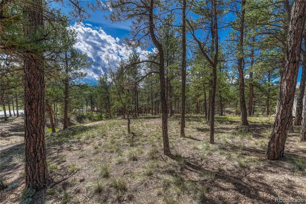 101 Dunlap Drive Florissant CO 80816