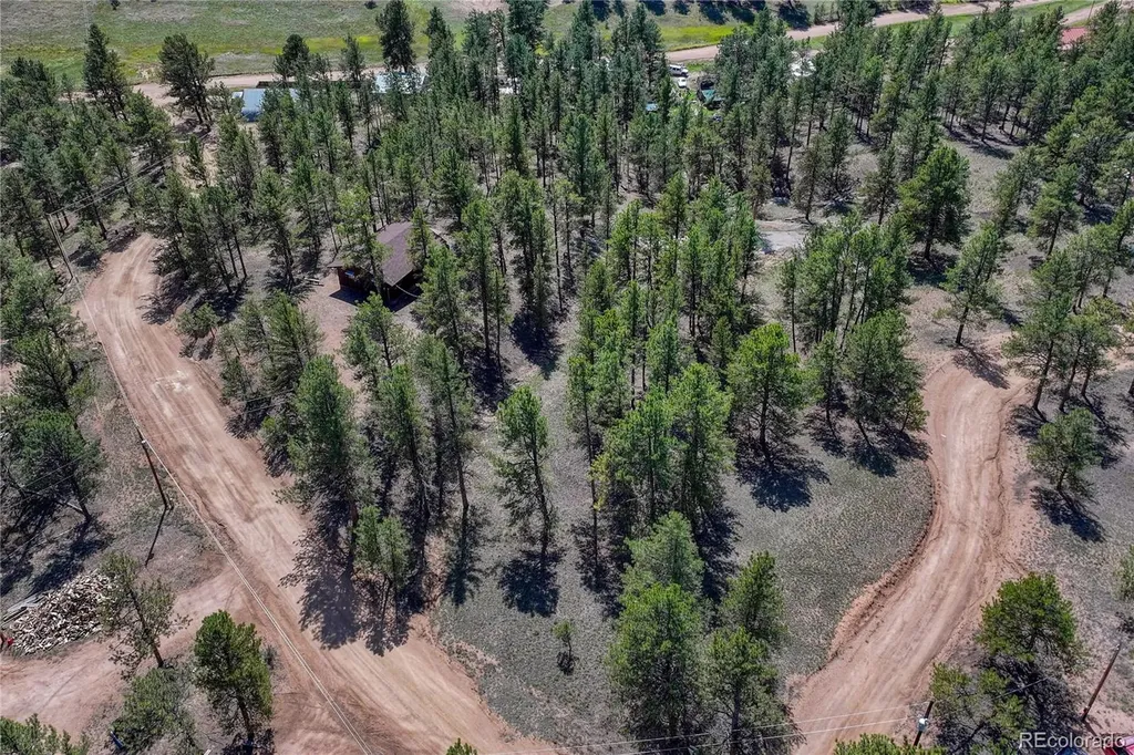 101 Dunlap Drive Florissant CO 80816
