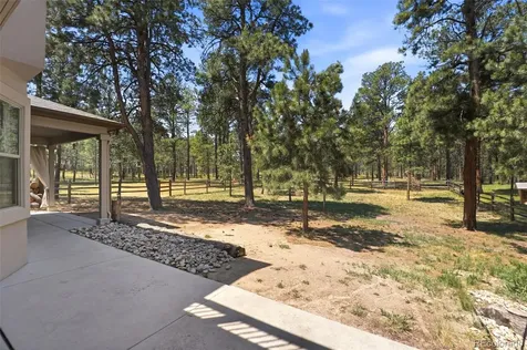 10916 Silver Mountain Point Colorado Springs CO 80908