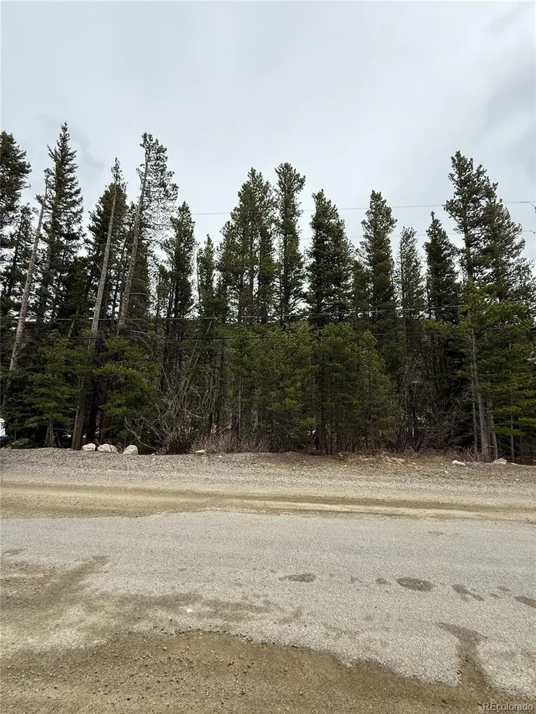 111 Silver Creek Road Idaho Springs CO 80452